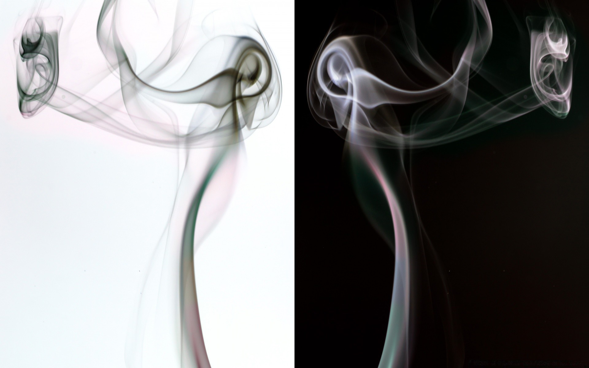 creativo incienso humo niebla vapor curva suave dinámico quemado onda slick olor rastro misterioso delicado movimiento abstracto llama ahumado formas