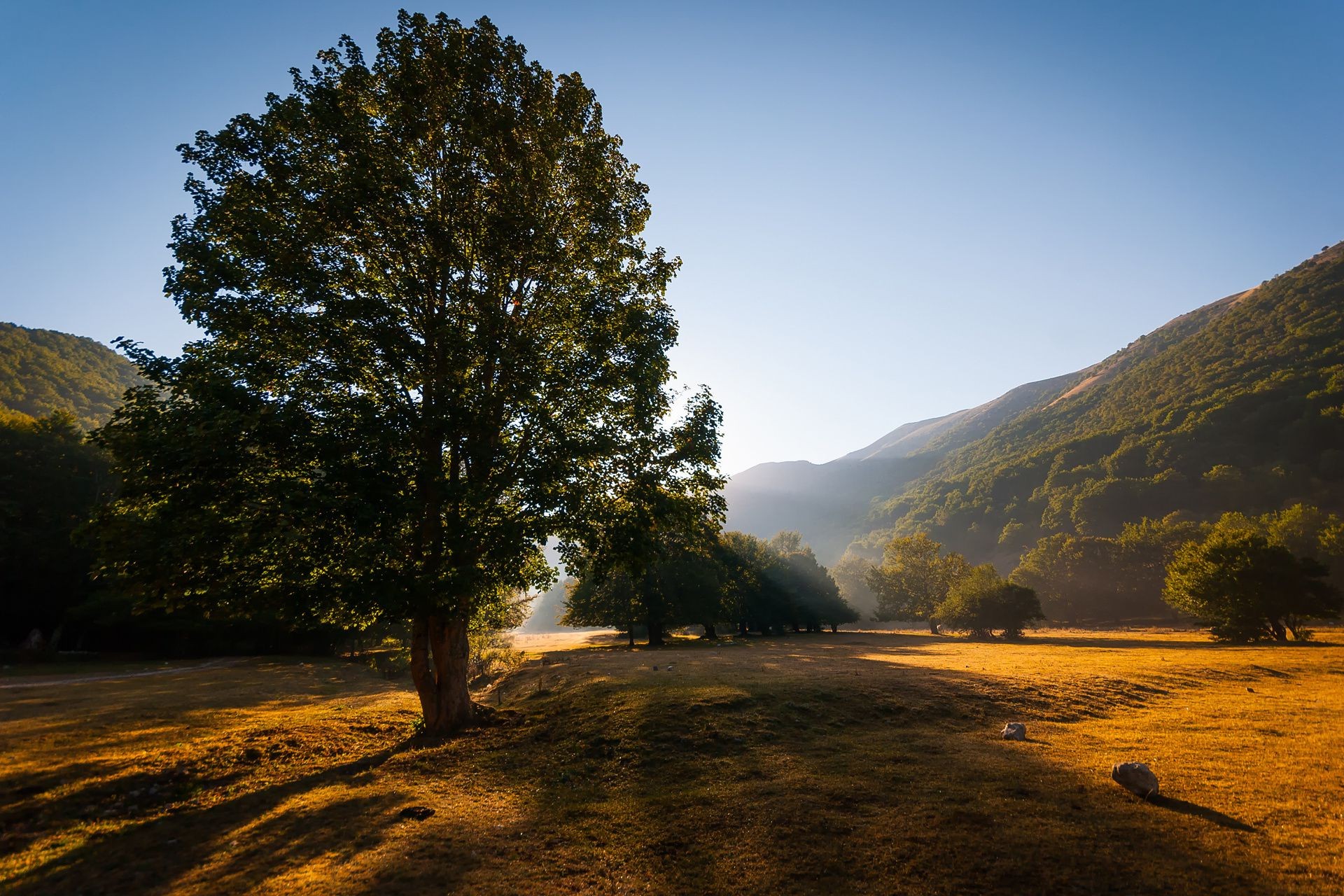 árboles paisaje árbol naturaleza puesta de sol al aire libre otoño montañas amanecer cielo viajes madera niebla agua sol noche hoja
