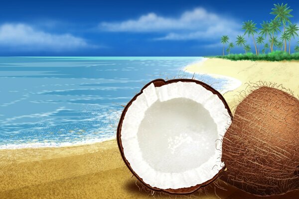Un paraíso. Senderos. Viajes y vacaciones. Costa azul. Coco