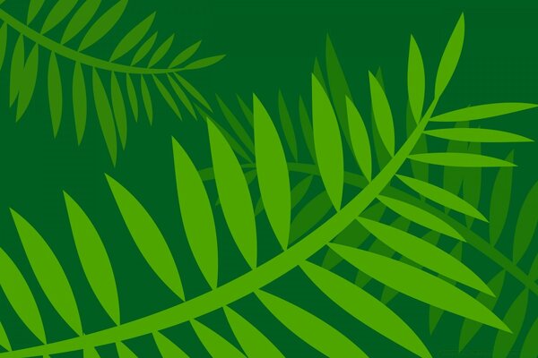 Hojas verdes sobre fondo verde oscuro, gráficos vectoriales
