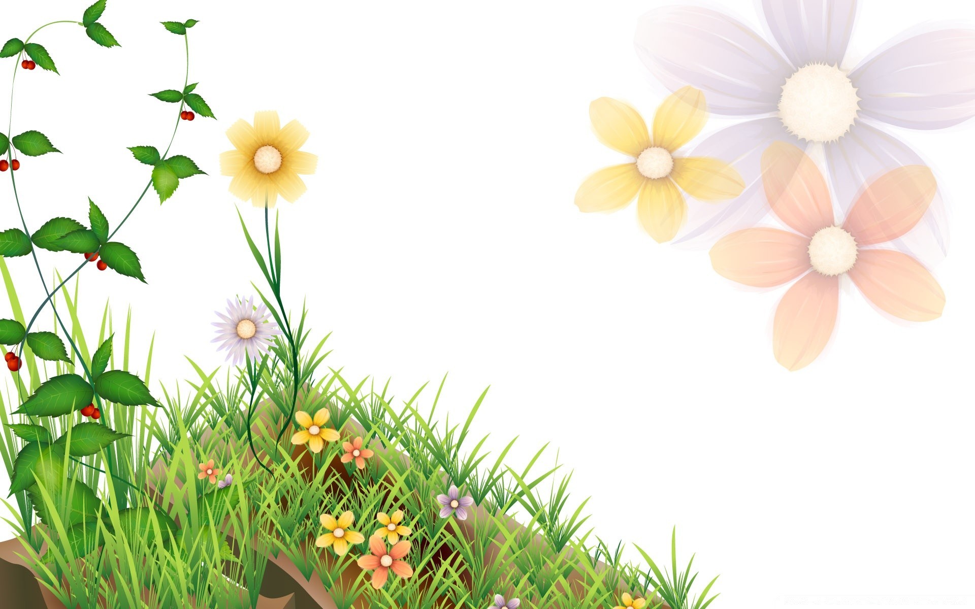 gráficos vectoriales flor naturaleza verano flora hoja jardín floral pétalo floración hierba color brillante escritorio sol hermoso crecimiento buen tiempo