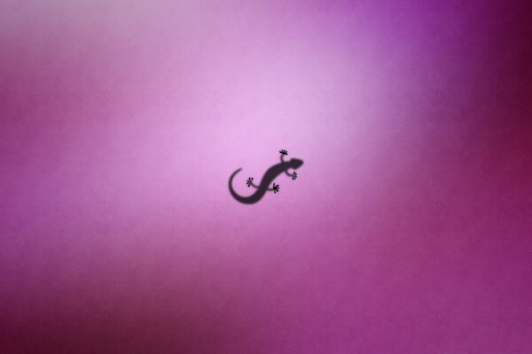 Silueta de salamandra. Fondo rosa. La sombra de la salamandra. Artes gráficas