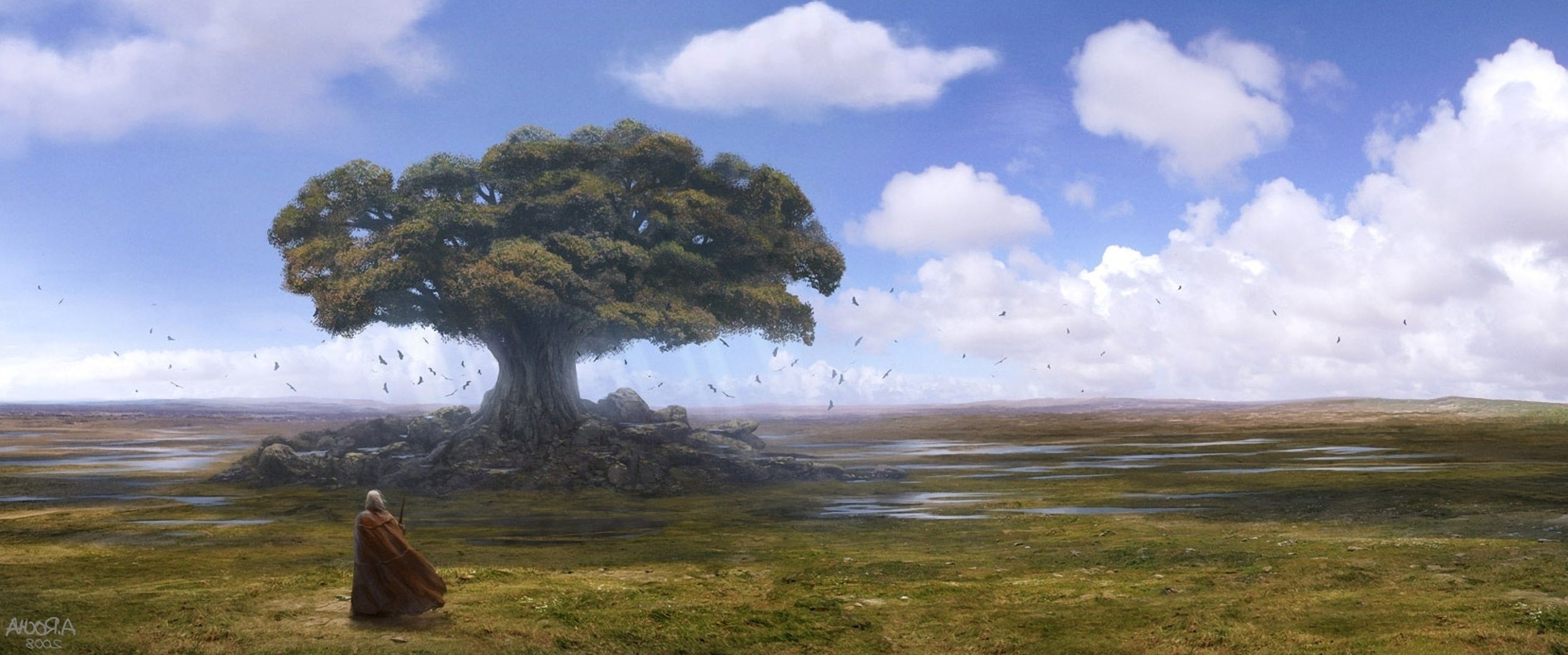 guerra paisaje árbol agua viajes al aire libre cielo hierba naturaleza puesta del sol amanecer niebla luz del día lago