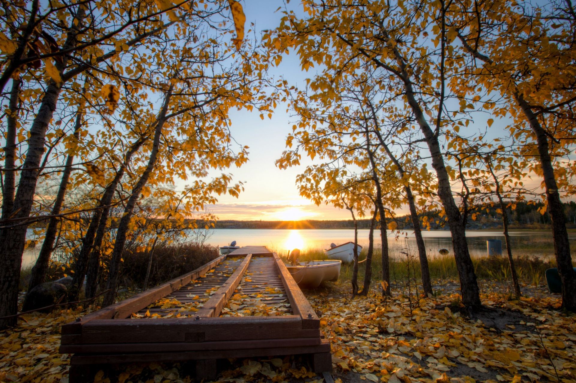puesta de sol y amanecer árbol otoño madera naturaleza hoja parque paisaje al aire libre buen tiempo sol banco luz del día amanecer escénico temporada luz guía