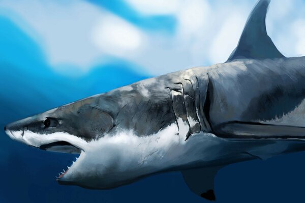 Tiburón con dientes grandes