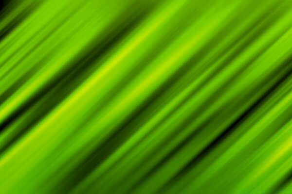 Fondo de la hoja verde para el Escritorio