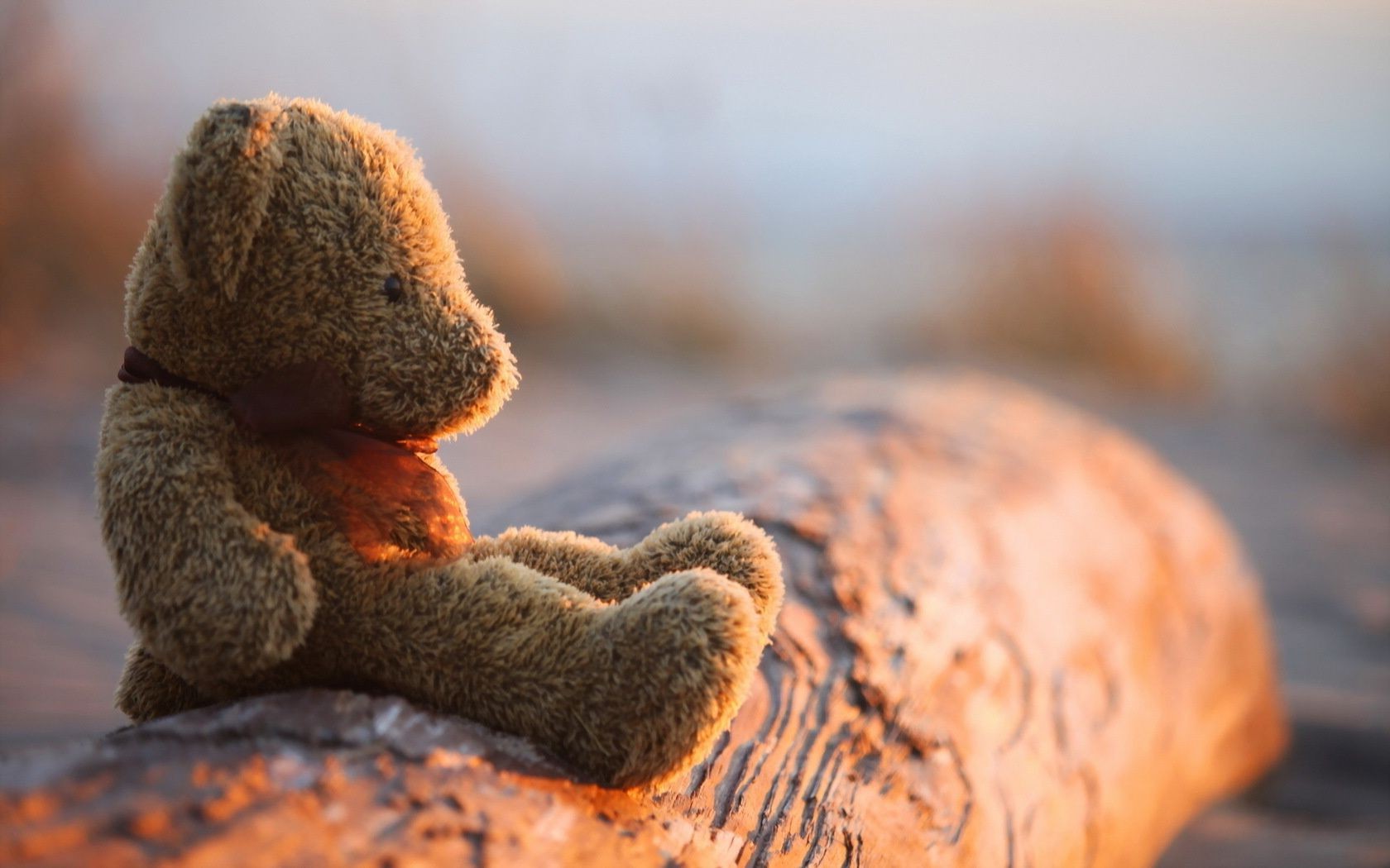 naturaleza al aire libre comida