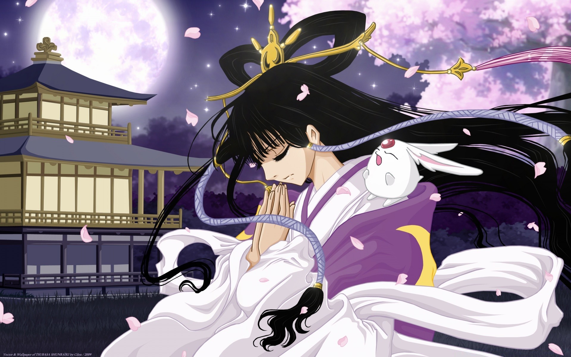 anime ilustración diseño vector boceto
