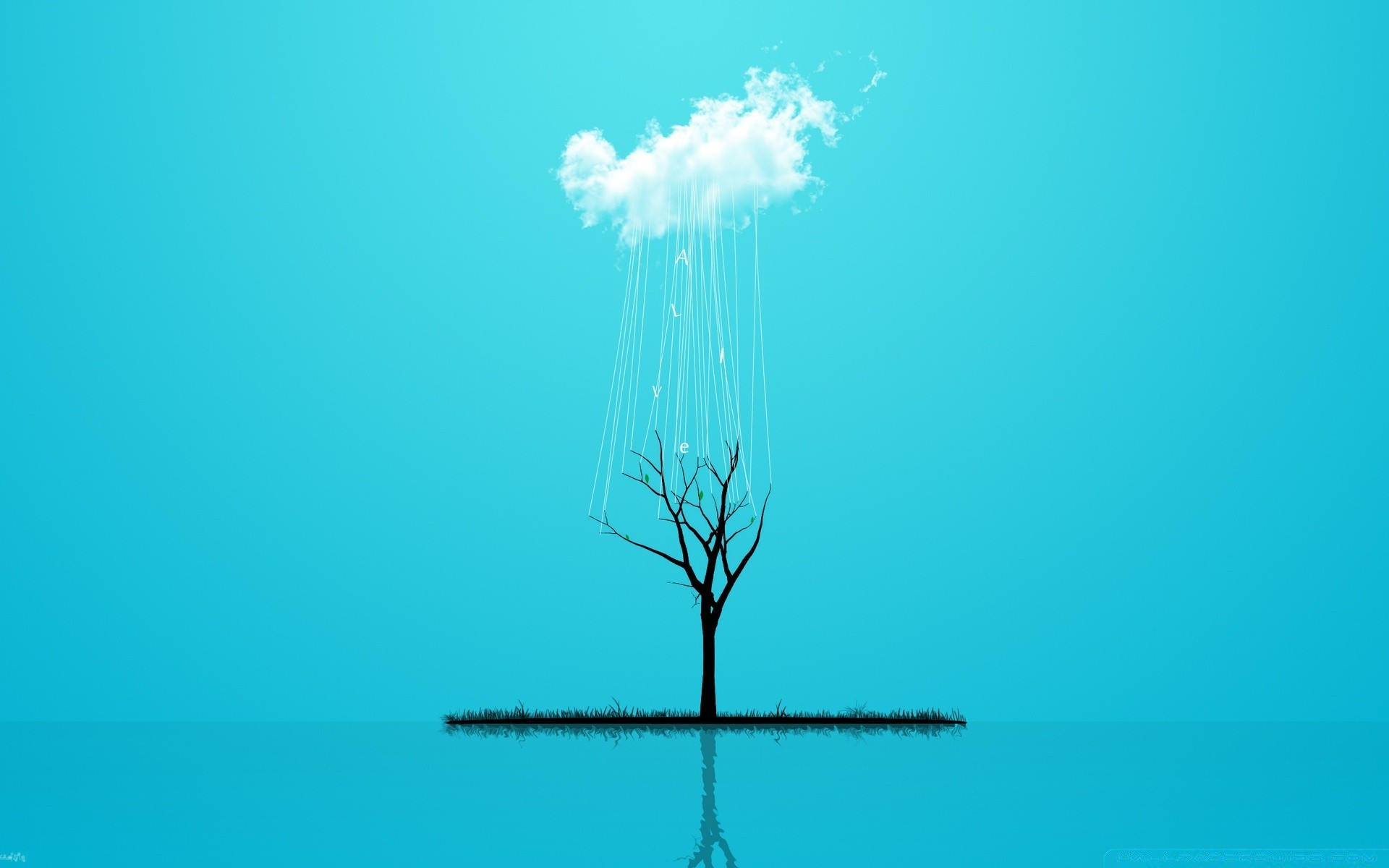 creativo naturaleza cielo agua escritorio