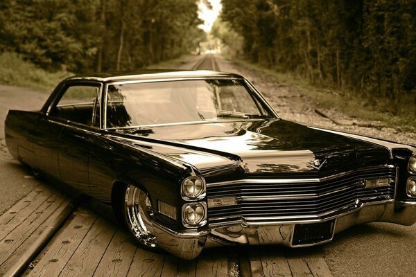 Hermoso coche negro en la carretera en el bosque