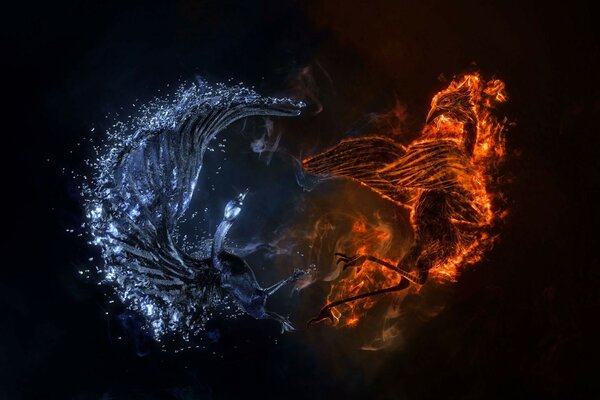 Yin y Yang en su lucha