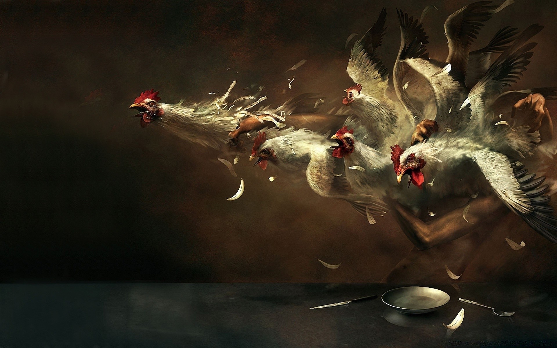 fantasía pájaro aves agua concurso acción pato vida silvestre paloma movimiento peces natación