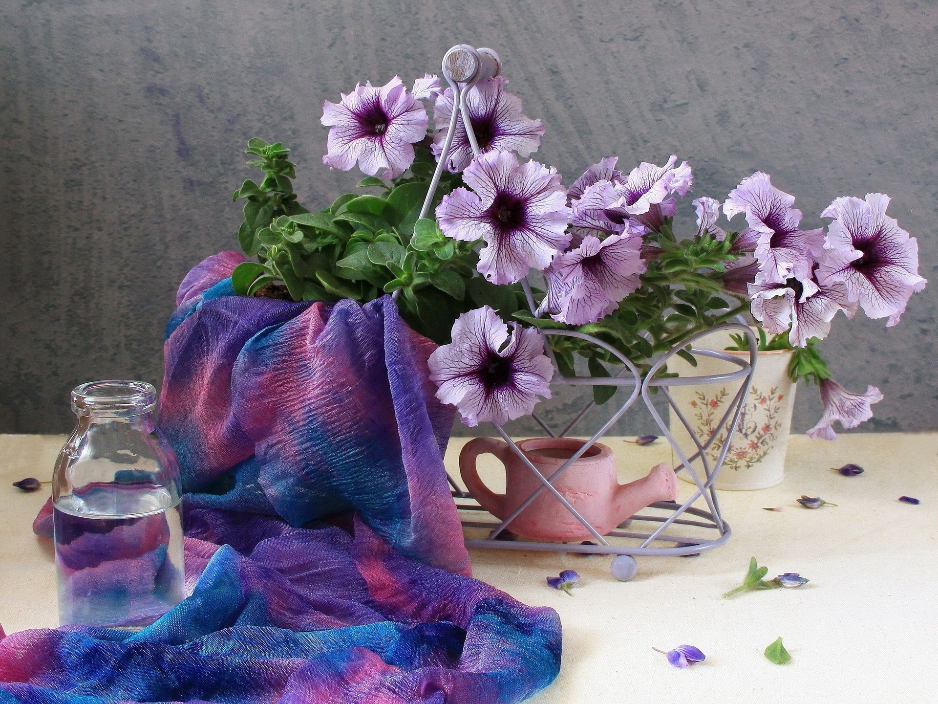 flores flor flora decoración color naturaleza muerta florero hoja floral