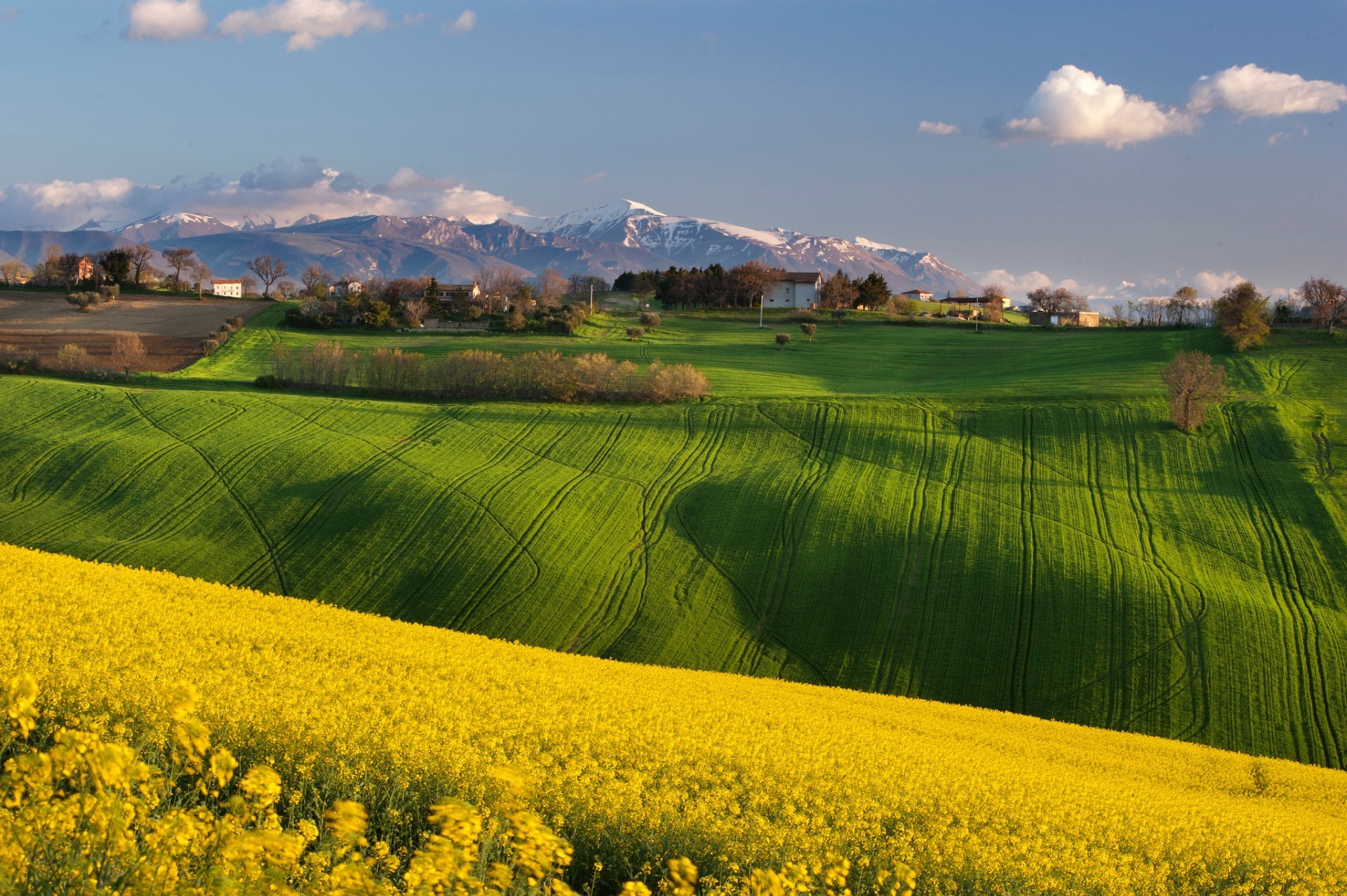 campos prados y valles paisaje campo agricultura rural naturaleza campo cielo granja verano país hierba árbol cosecha tierras de cultivo sol al aire libre escénico