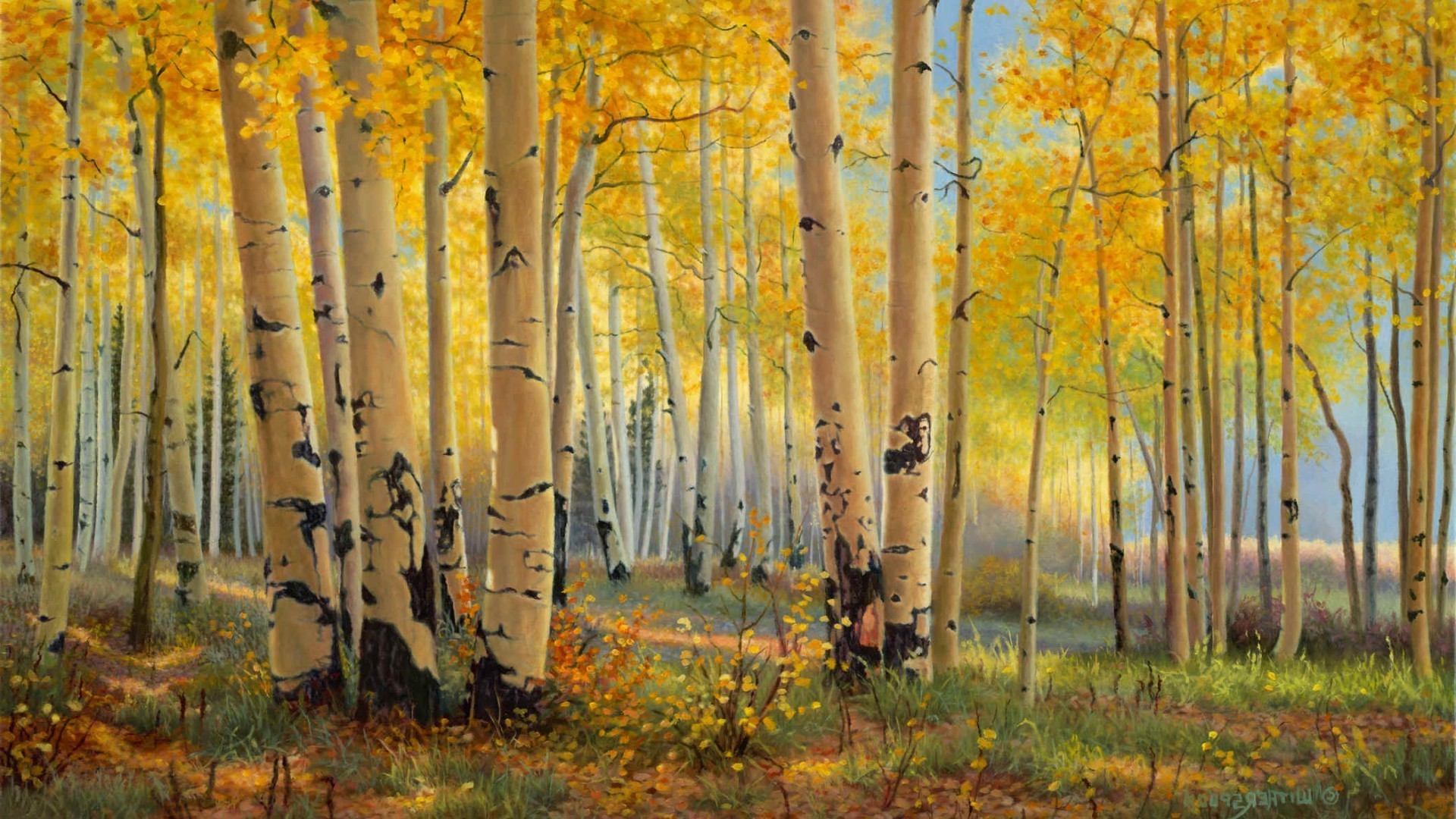 otoño otoño hoja madera naturaleza árbol paisaje temporada parque amanecer buen tiempo rama brillante campo escena oro exuberante paisaje al aire libre rural