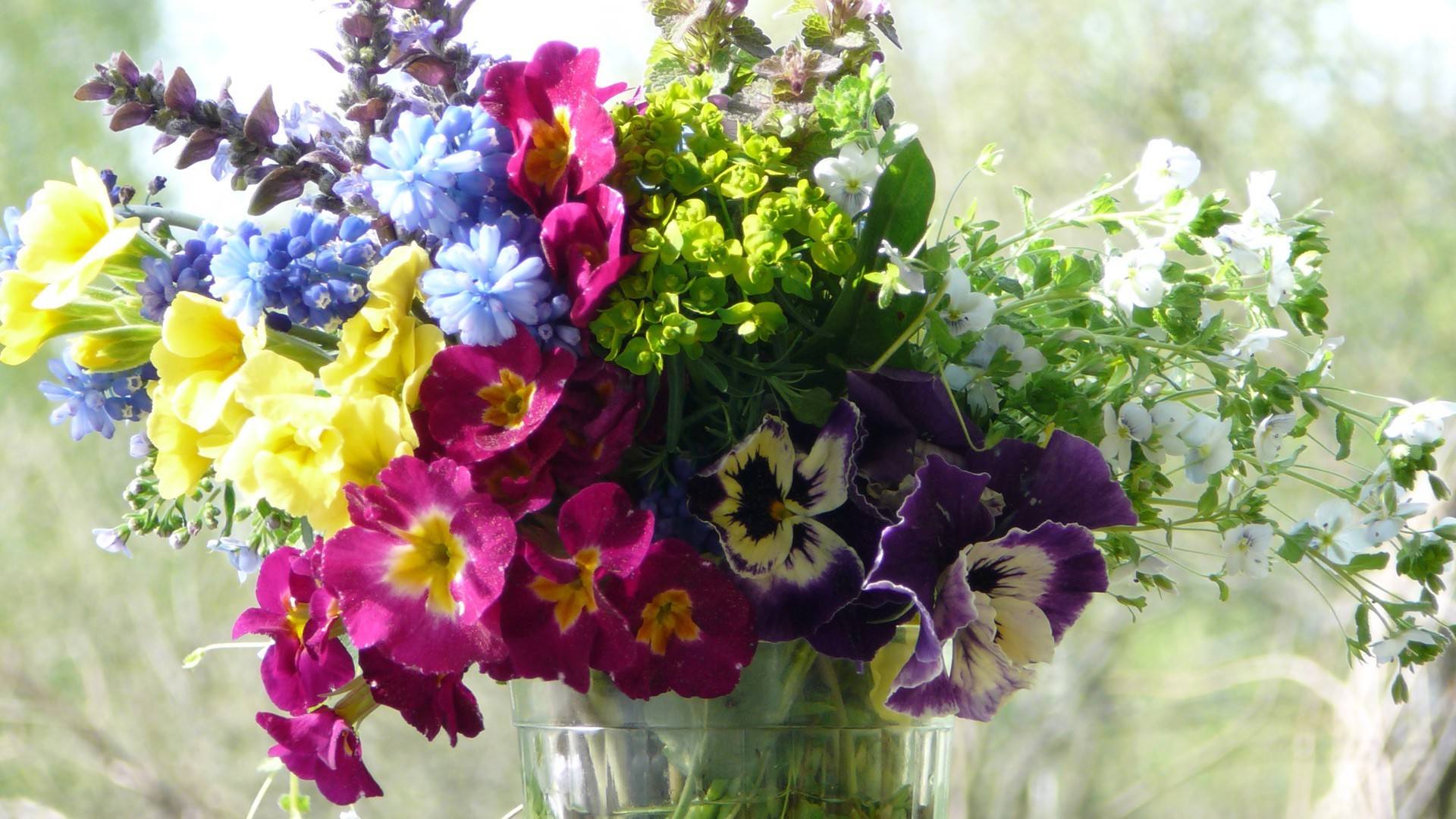 ramo de flores flora naturaleza flor jardín hoja floral verano floración crecimiento pétalo violeta color estación brillante ramo campo primer plano decoración botánico