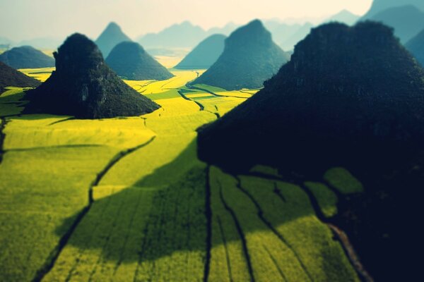 Foto del campo amarillo entre las montañas