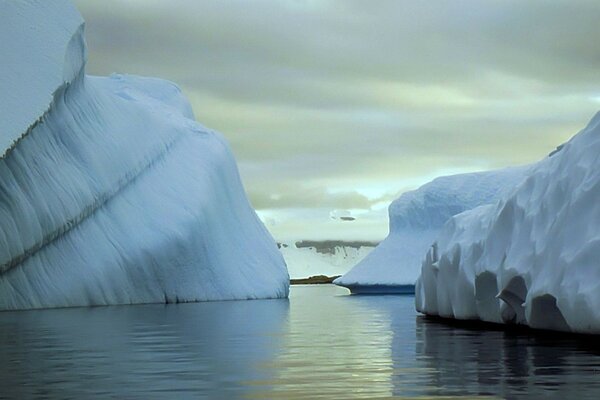 Hay muchos icebergs en las heladas aguas del océano