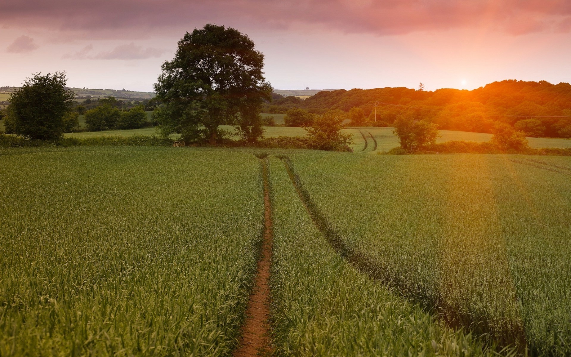 campos prados y valles paisaje campo puesta del sol amanecer agricultura rural campo tierra cultivada naturaleza cielo granja país trigo sol al aire libre hierba heno árbol noche