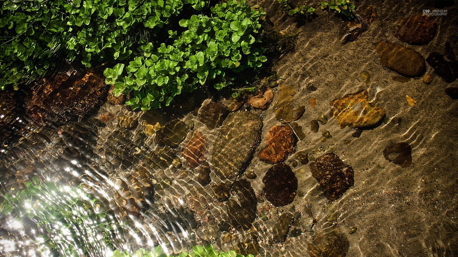 gotas y agua naturaleza agua piedra roca escritorio