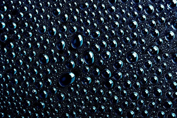 Gotas de rocío después de la lluvia