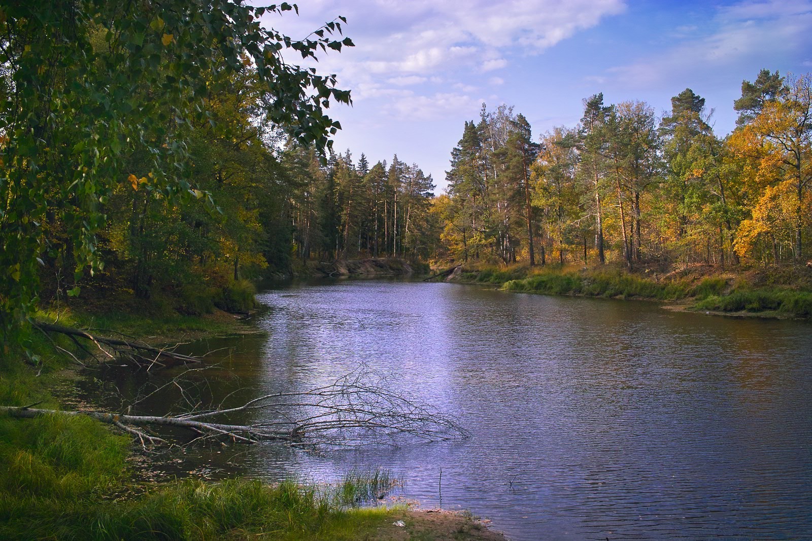 lago agua árbol otoño río paisaje naturaleza madera reflexión al aire libre hoja escénico cielo parque piscina luz del día sangre fría viajes