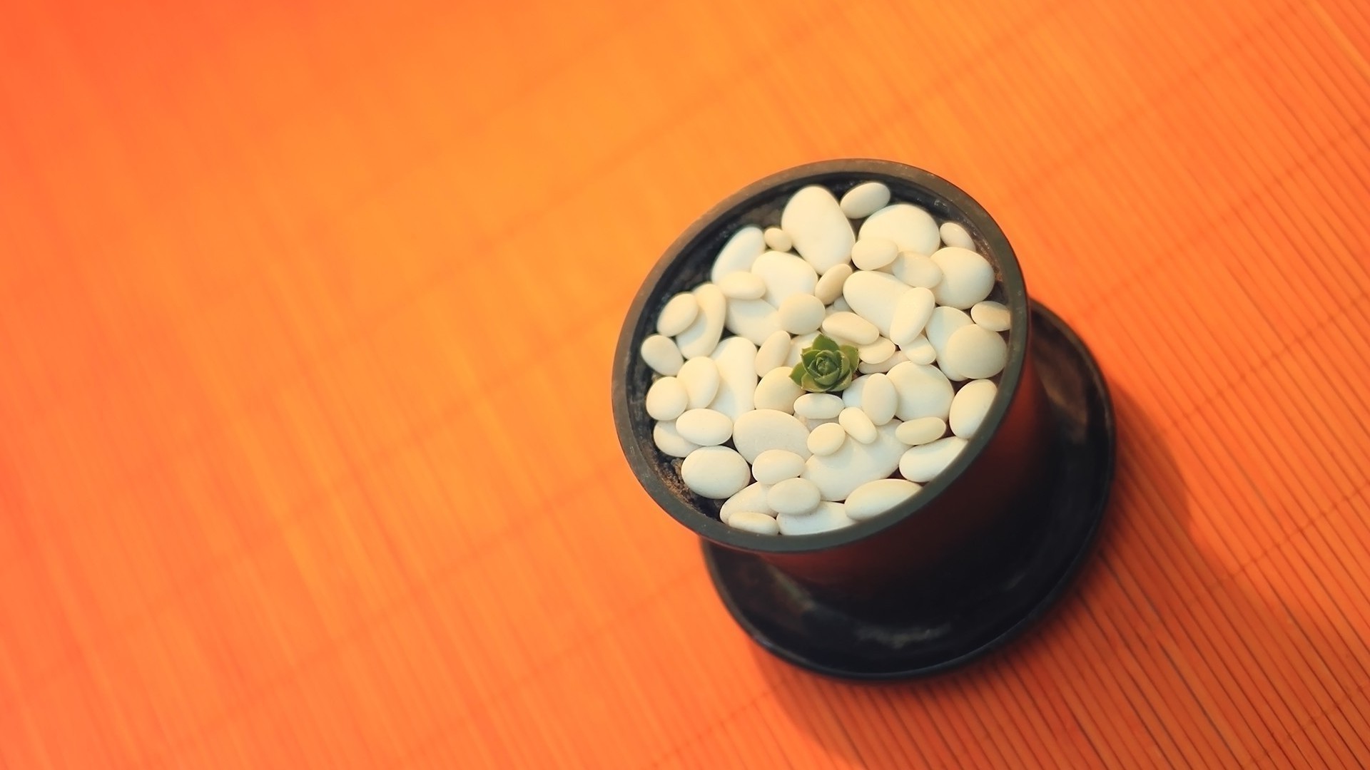 alimentos medicina escritorio salud tazón de fuente madera naturaleza muerta saludable