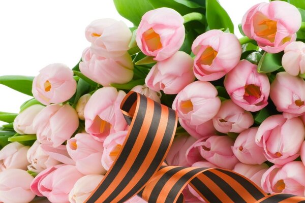Ramo de tulipanes rosados con cinta de San Jorge