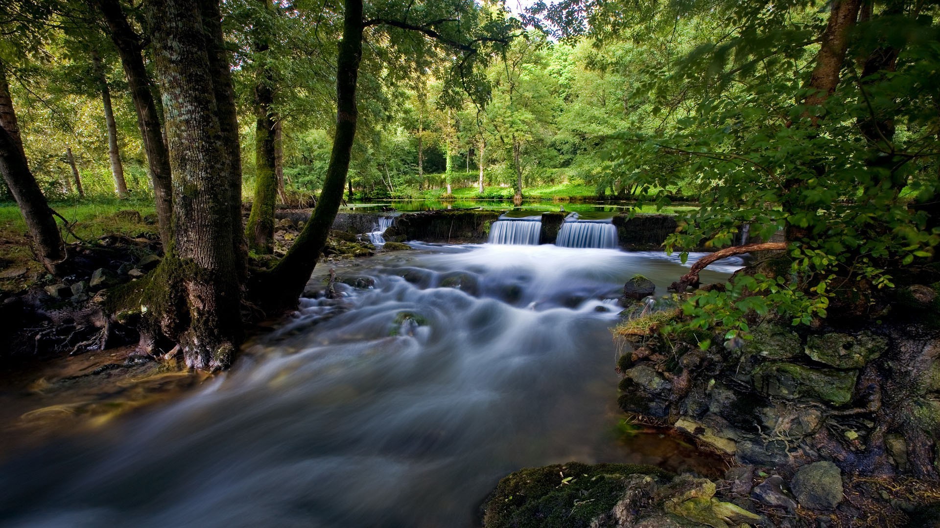 cascadas agua río madera cascada corriente naturaleza otoño hoja paisaje grito árbol musgo al aire libre cascada parque - rapids mojado roca fotografía