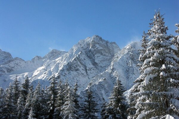 Cuento de invierno en las montañas con el bosque