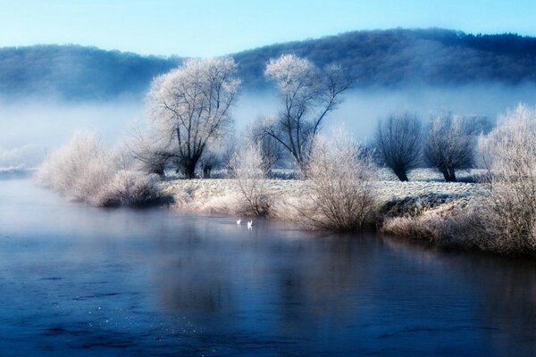 Paisaje invernal: estanques, arroyos y árboles