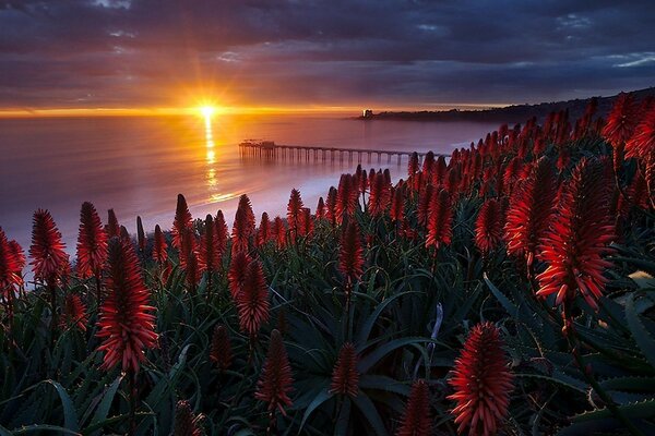Paisajes nocturnos y diurnos: atardecer y amanecer