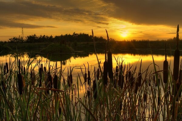 Hermosa y jugosa puesta de sol en el agua