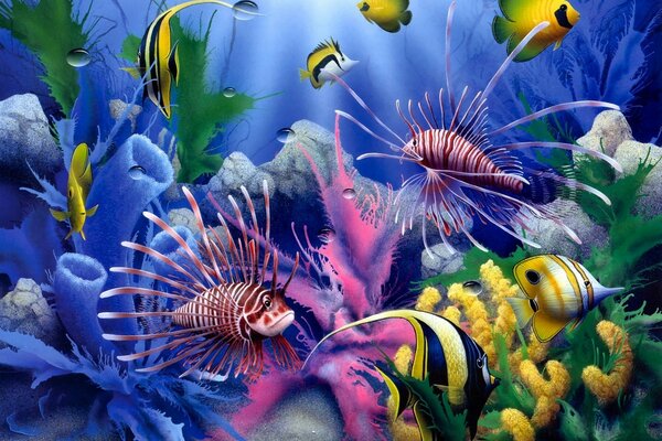 Peces vivos nadando en corales
