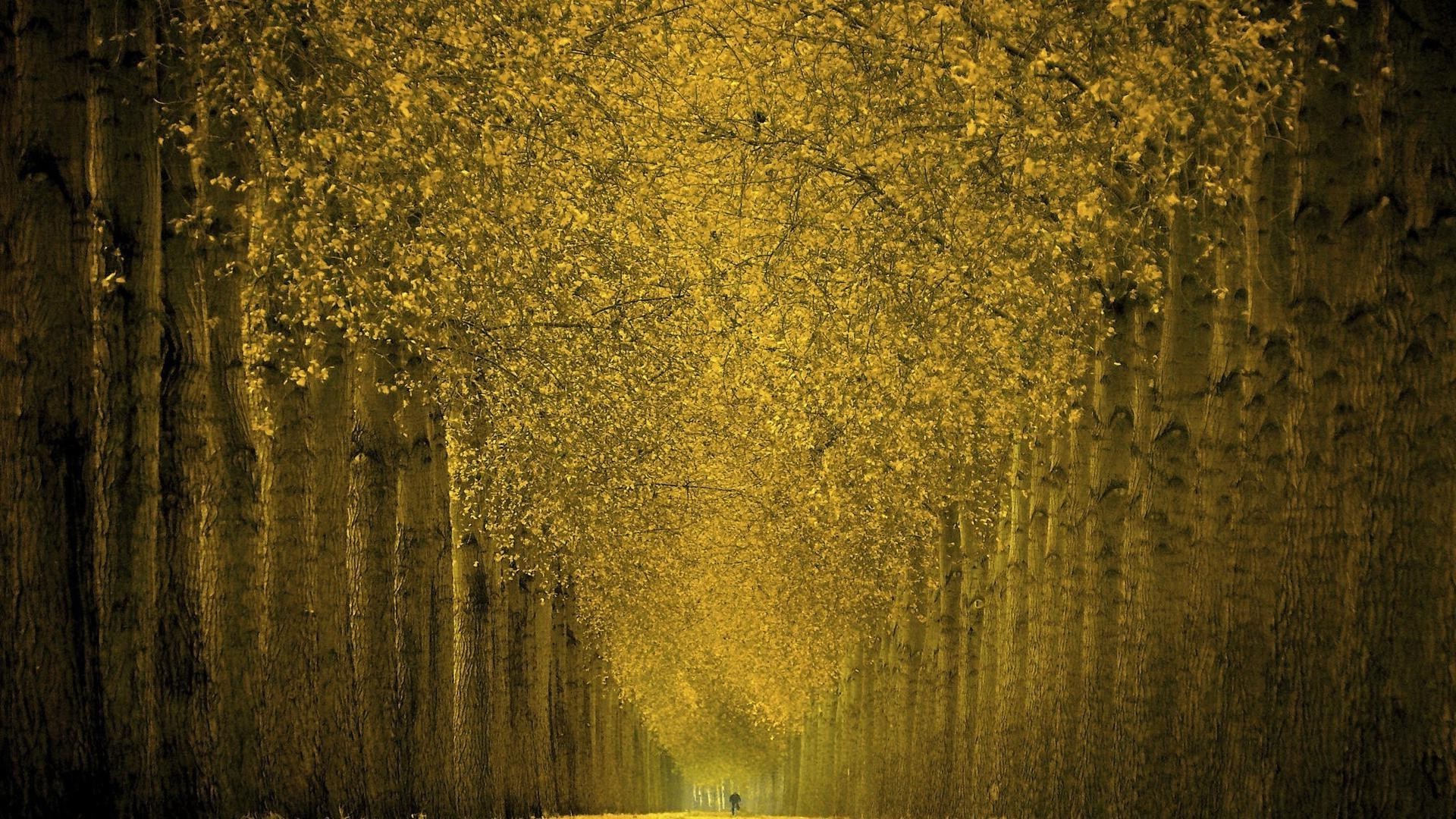 otoño escritorio abstracto oscuro sucio viejo textura vintage retro pared papel pintado áspero antiguo otoño arte suelo