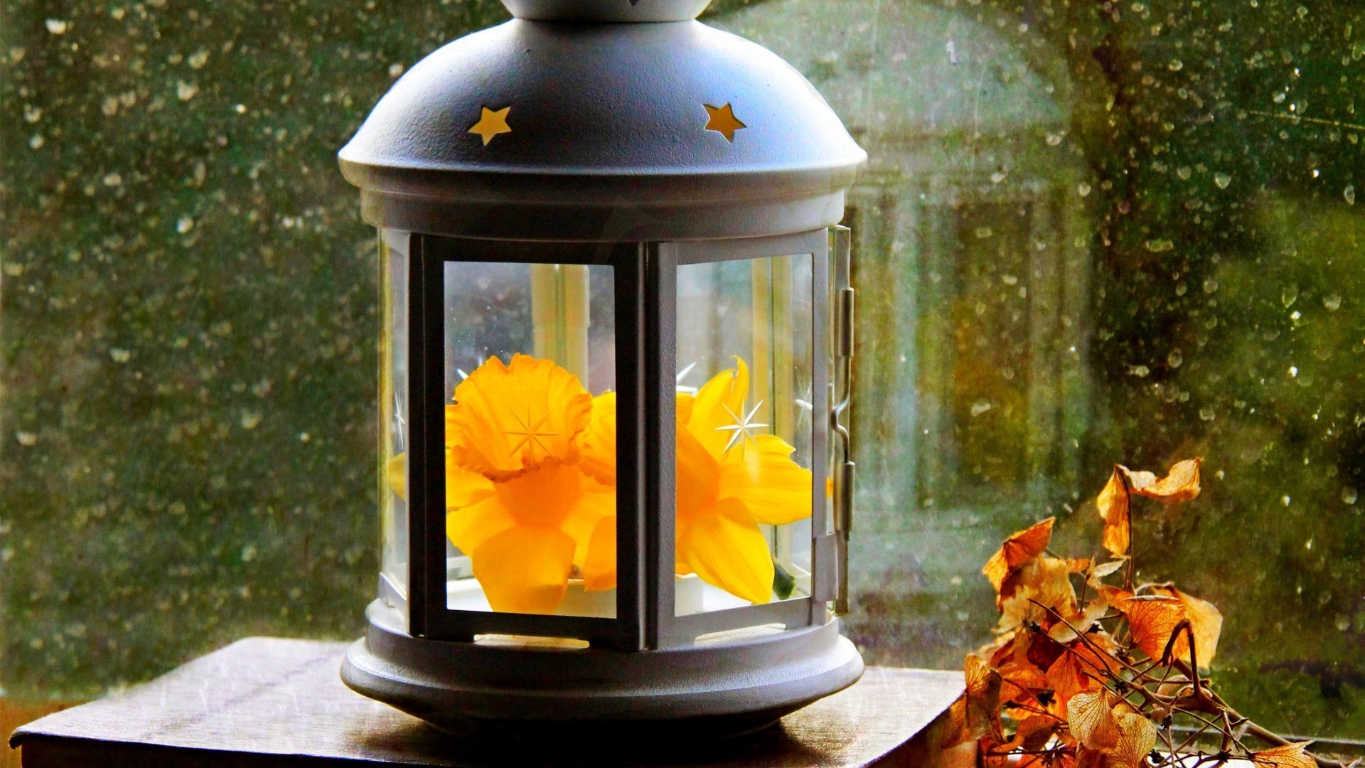 hojas flor madera linterna mesa decoración luz luz del día