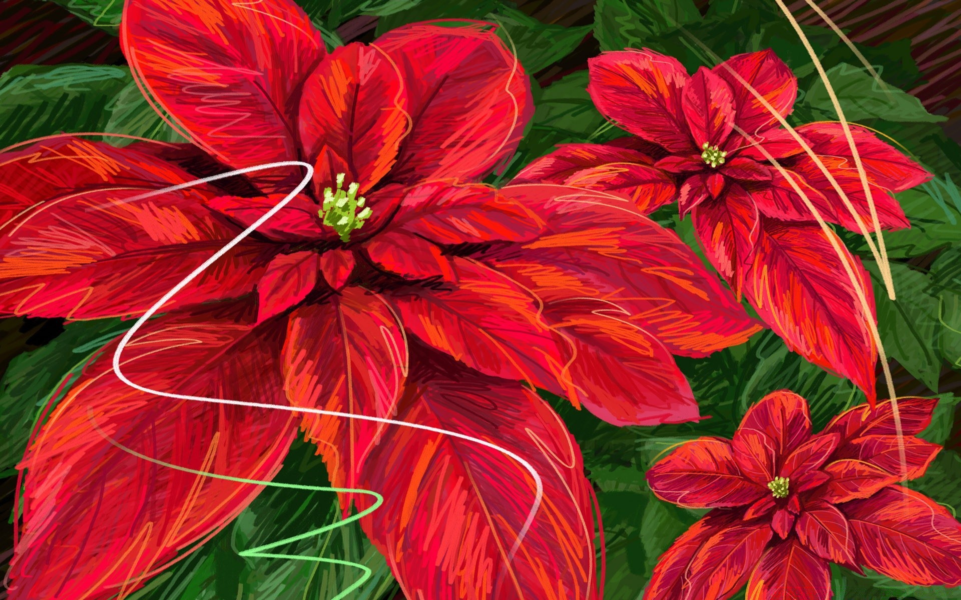 navidad naturaleza flor flora hoja verano jardín floral hermoso color pétalo decoración floración tropical brillante botánico estación crecimiento