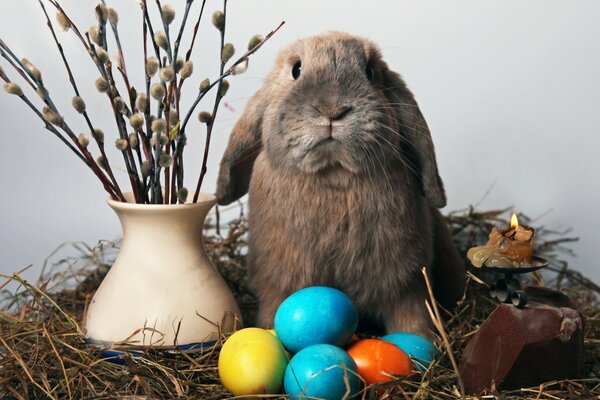 El conejo de Pascua guarda los huevos