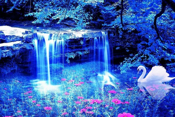 El movimiento del agua y el cisne descansa bajo este chapoteo de neón y luz