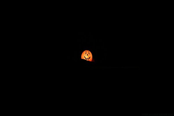 Calabaza luminosa sobre fondo negro