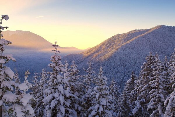 Nieve de invierno en las montañas