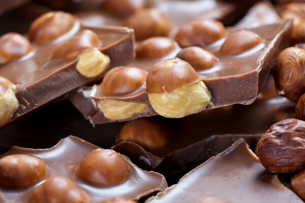 Avellanas en chocolate