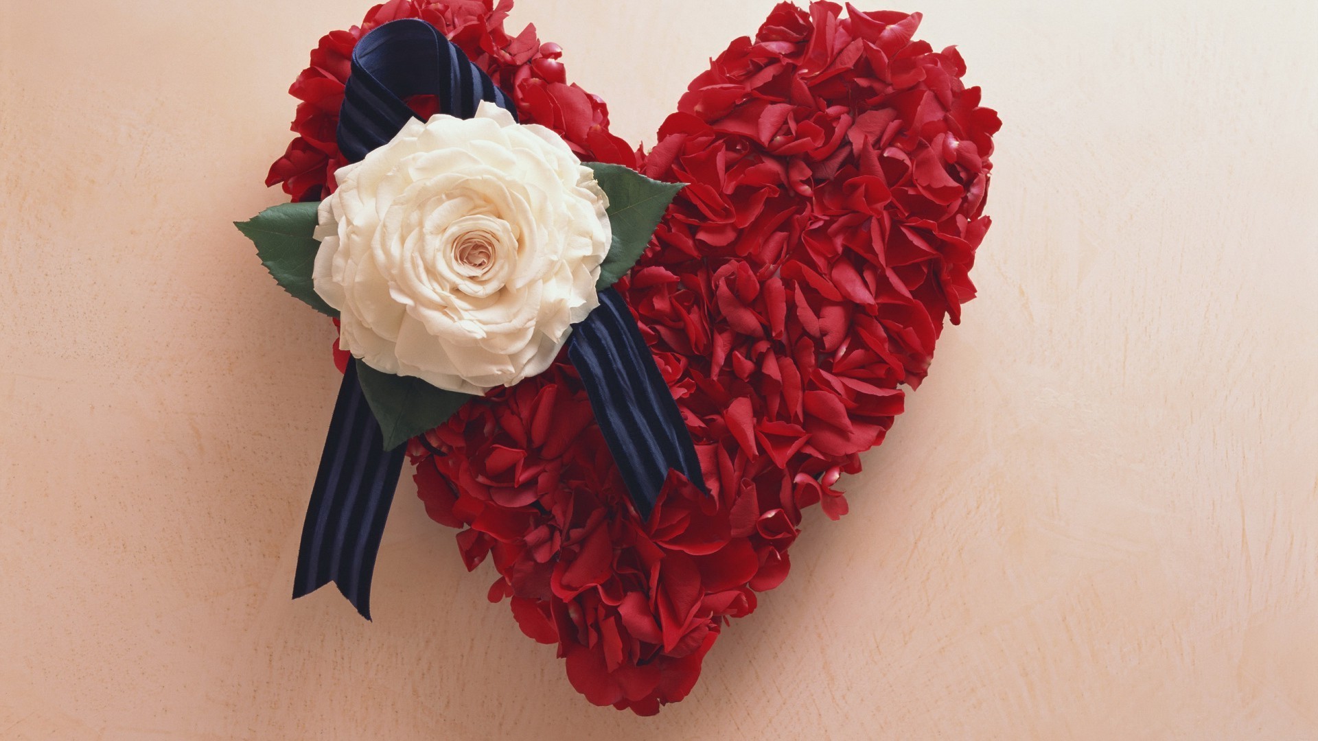 corazones rosa amor flor romance boda regalo romántico pétalo decoración floral vacaciones ramo hermoso