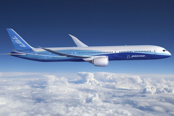 Un avión Boeing vuela en el cielo