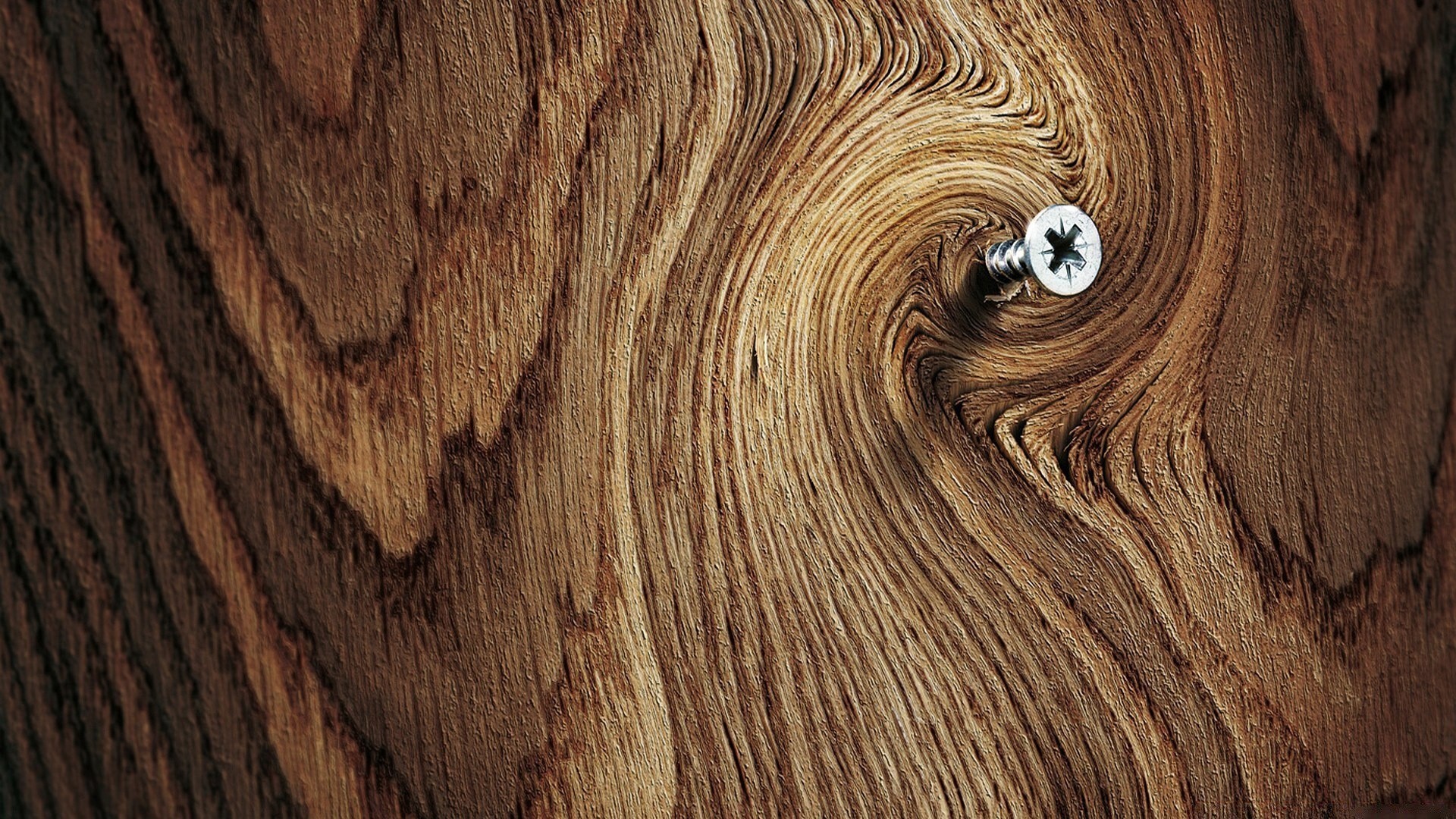 macro revista madera tela patrón madera textura áspero madera carpintería madera pino escritorio roble superficie grano piso pared panel