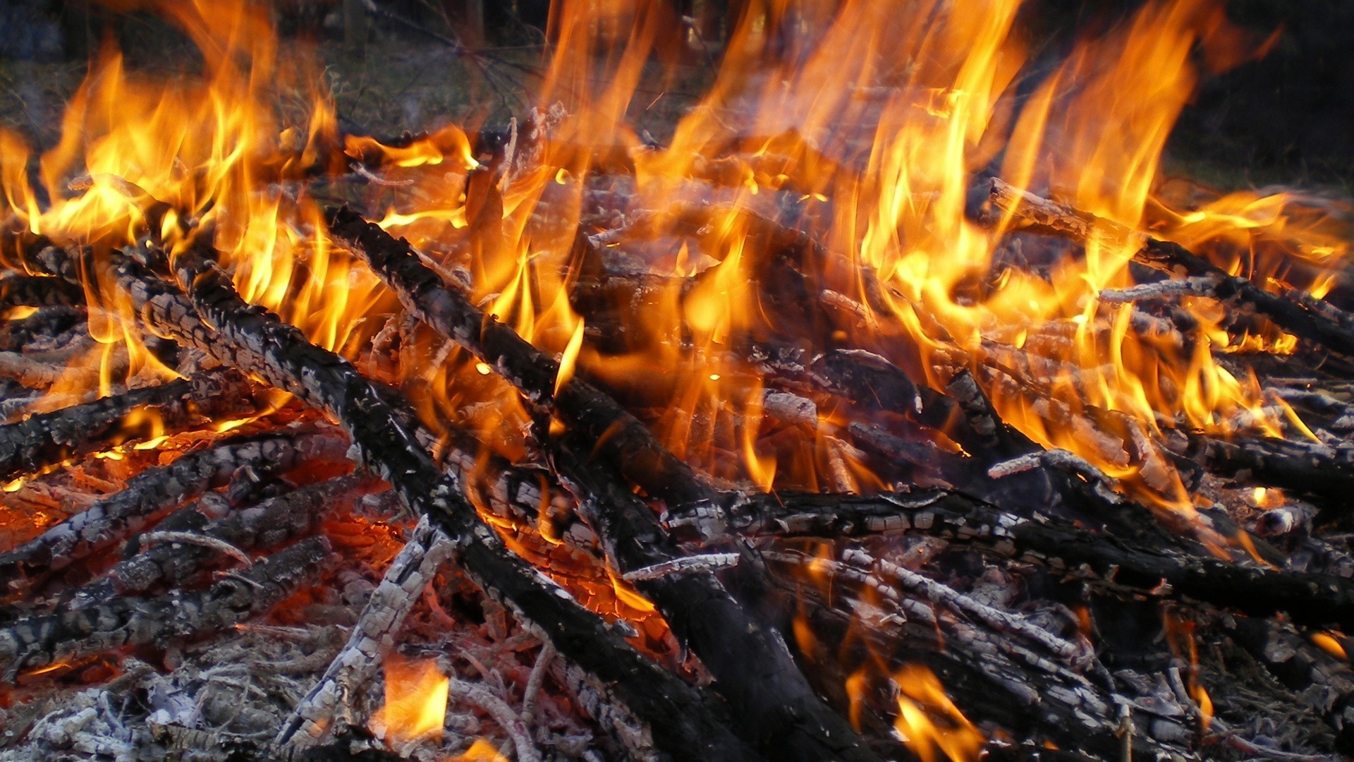 llama fogata fogata calor carbón chimenea quemar carbón leña ceniza caliente infierno calor humo blaze inflamable encender fuego temperatura campamento