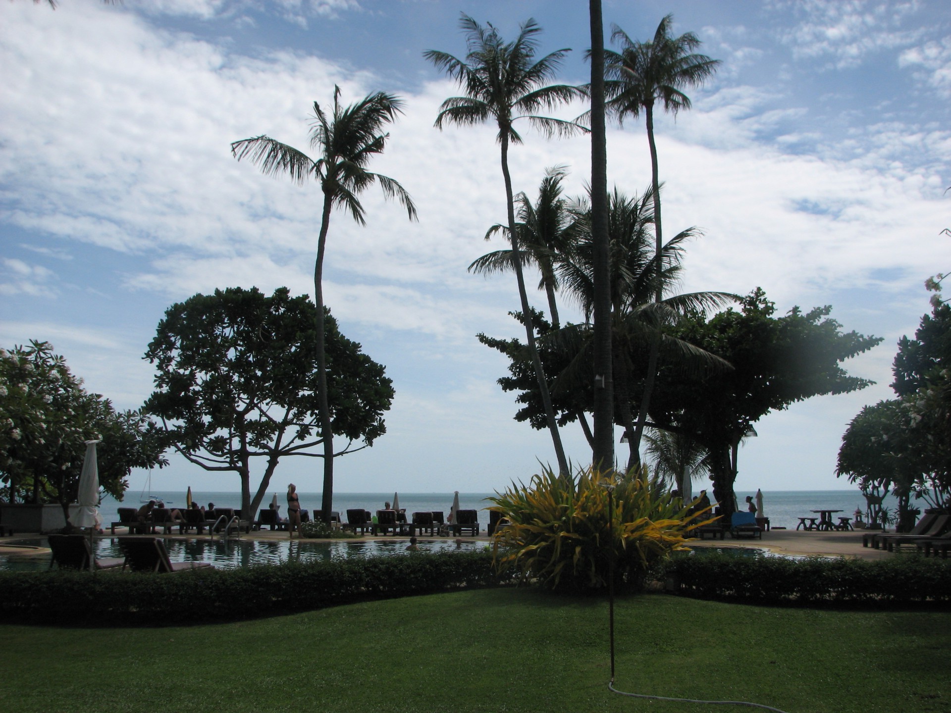 árbol palma resort vacaciones viajes tropical vacaciones hotel vacaciones agua luz del día isla playa turismo mar al aire libre cielo lujo parque