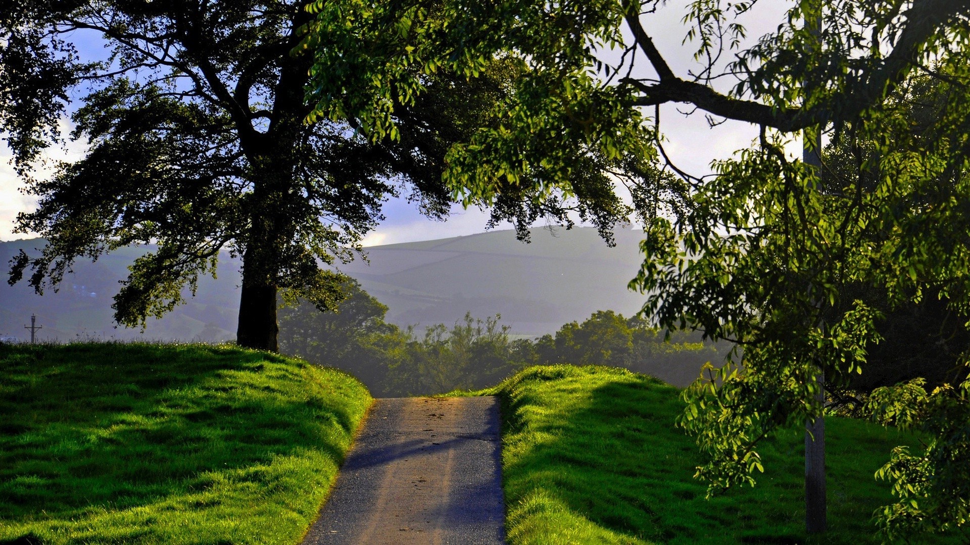 árbol paisaje naturaleza hierba madera hoja escénico parque al aire libre medio ambiente exuberante verano rama flora paisaje campo cielo guía