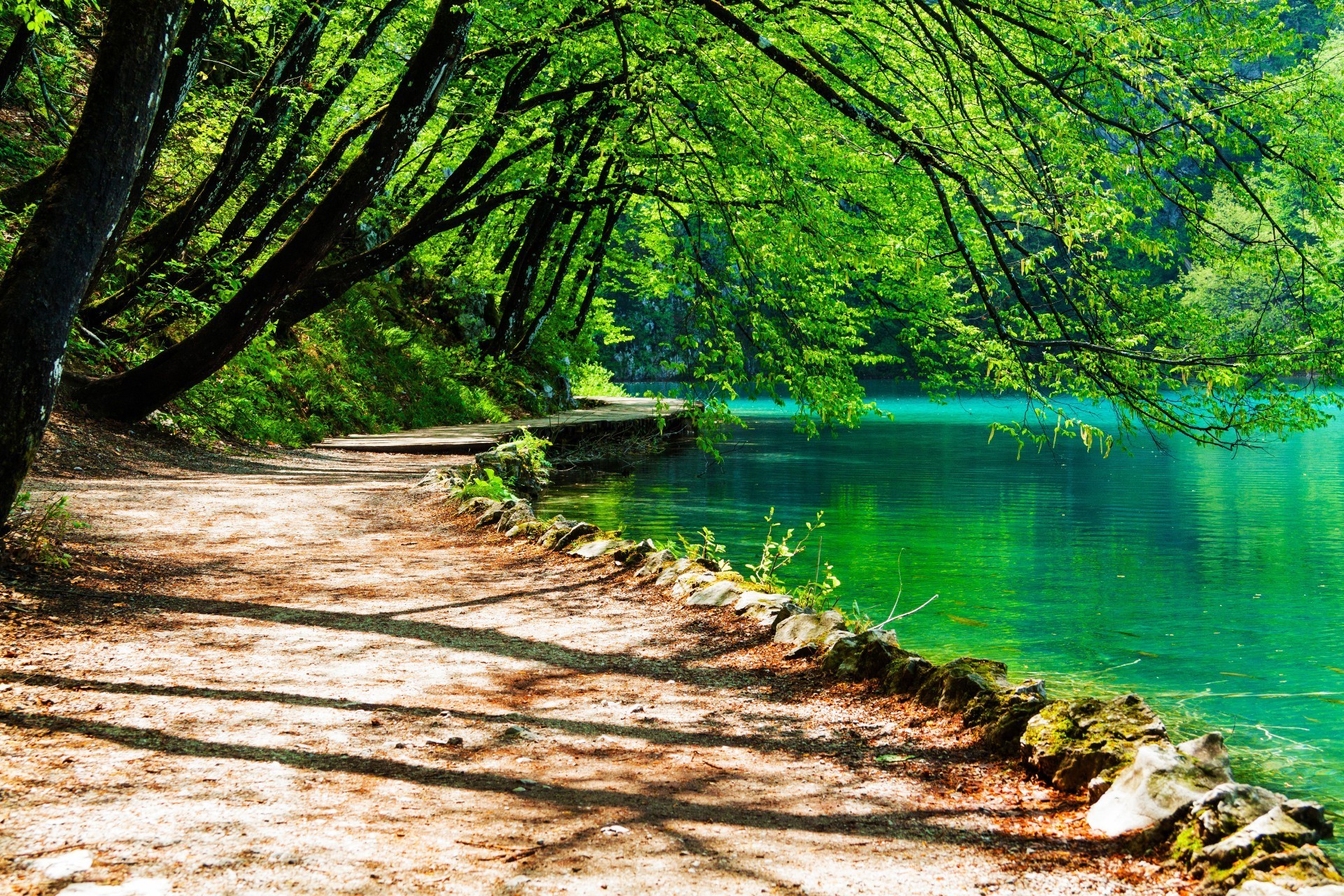 madera naturaleza agua árbol paisaje hoja verano al aire libre escénico buen tiempo parque temporada viajes paisaje sangre fría sol exuberante escena