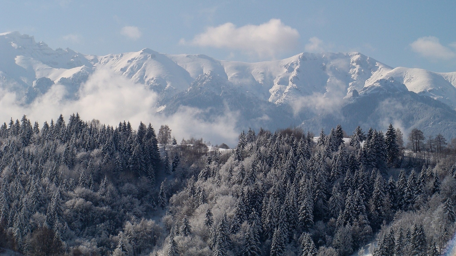 nieve montañas invierno viajes hielo madera paisaje frío cielo al aire libre niebla naturaleza